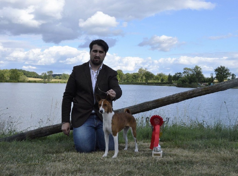 CH. Helsy sun el Sueno del Amigo